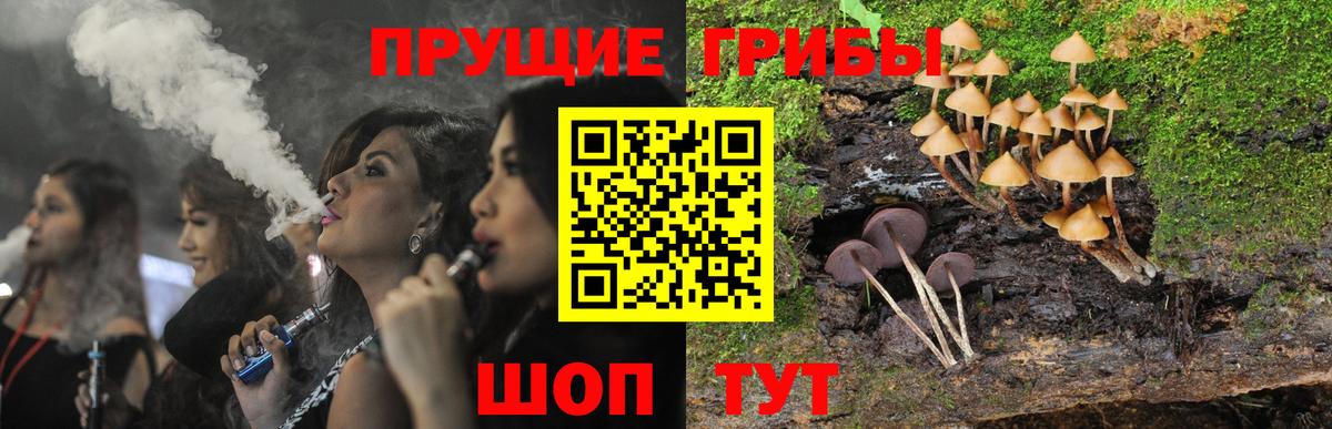Псилоцибиновые грибы Cubensis  Вход с VPN  Артёмовский 